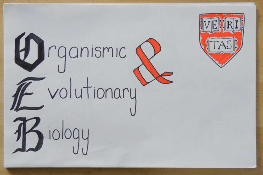 screen-shot-2016-12-02-at-10-15-57-am