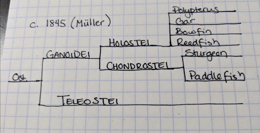 Maker:0x4c,Date:2017-10-4,Ver:4,Lens:Kan03,Act:Lar01,E-ve