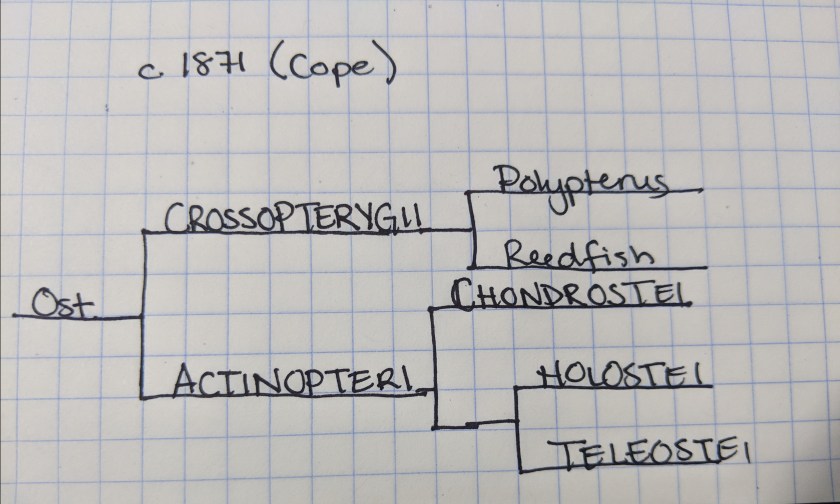 Maker:0x4c,Date:2017-10-4,Ver:4,Lens:Kan03,Act:Lar01,E-ve