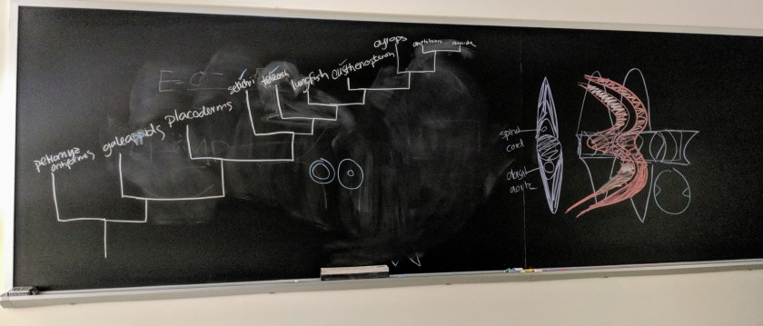 Maker:0x4c,Date:2017-10-4,Ver:4,Lens:Kan03,Act:Lar01,E-Y